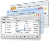 Programowanie - Almediadev DynamicSkinForm VCL One User License - miniaturka - grafika 1
