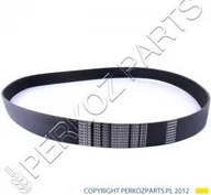 Części i akcesoria do maszyn rolniczych - CNH PAS SILNIKA 12-KLINOWY CX,CR 500380059 - miniaturka - grafika 1