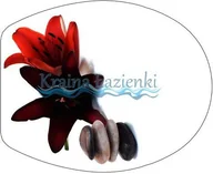 Deski sedesowe - Bisk deska wolnoopadająca Foto Zen 04501 - miniaturka - grafika 1