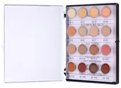 Cienie do powiek - Kryolan Dermacolor Camouflage System mini paleta kremowych korektorów o wysokim kryciu 16 odcieni No. 1 - miniaturka - grafika 1