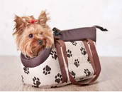 Transportery dla kotów - Hobbydog Torba - Beżowa w łapki - Rozmiar 2 - miniaturka - grafika 1