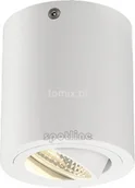 Lampy sufitowe - Spotline plafon Triledo CL Biały (113931) - miniaturka - grafika 1