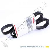 Części i akcesoria do maszyn rolniczych - NEW HOLLAND CASE PASEK ALTERNATORA 87316556 - miniaturka - grafika 1