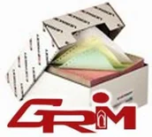 Papier do drukarek - Emerson Papier komputerowy 240mm x 12 (1+1)Kolor 190 - miniaturka - grafika 1