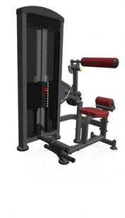 Marbo Sport Maszyna 2-w-1 na grzbiet i brzuch ze stosem MP-U220 - Atlasy do ćwiczeń Marbo Sport Maszyna 2-w-1 na grzbiet i brzuch ze stosem MP-U220 - Atlasy do ćwiczeń - miniaturka - grafika 8