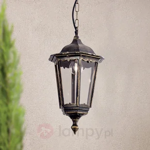 ORION ORION Lampa wisząca FABIO na zewnątrz - Lampy ogrodowe - miniaturka - grafika 6