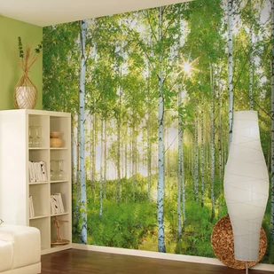 Fototapeta Sunday 368 x 254 cm - Fototapety - miniaturka - grafika 2