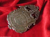 Repliki - akcesoria - Denix ODZNAKA DEPUTY MARSHAL ZŁOTA - miniaturka - grafika 1