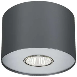 Nowodvorski POINT GRAPHITE SILVER / GRAPHITE WHITE S 6006 Oprawa natynkowa - Lampy sufitowe - miniaturka - grafika 3