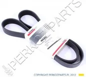 Części i akcesoria do maszyn rolniczych - CNH PASEK ALTERNATORA LM NOWY TYP 85826230 - miniaturka - grafika 1