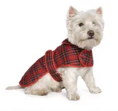 Ubranka dla psów - Ancol Hundemantel, Größe  S  Shottenmuster - miniaturka - grafika 1