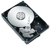 Dyski HDD - Seagate ST3250820ACE - miniaturka - grafika 1