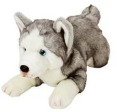Maskotki i pluszaki - Suki piesek - Husky 35 cm 12057 - miniaturka - grafika 1