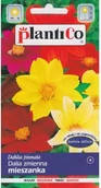 Nasiona i cebule - Plantico DALIA ZMIENNA MIX 1g - miniaturka - grafika 1
