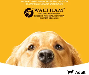 Pedigree Wołowina w galaretce 1200g puszka - Mokra karma dla psów - miniaturka - grafika 6