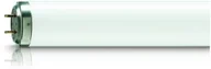 Philips TL 40W/12 RS SLV 871150062886240