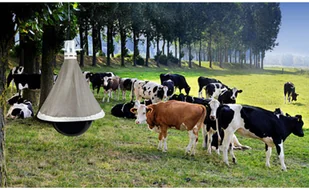 Kerbl Kerbl Pułapka na końskie muchy TaonX żelazo cynkowane biała i czarna 323500 323500 - Lampy owadobójcze - miniaturka - grafika 3