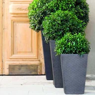 Donice - Keter Donica 29 x 29 x 44 cm antracyt - miniaturka - grafika 1