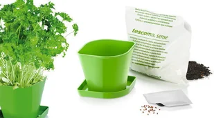 Tescoma Zestaw do uprawy ziół SENSE pietruszka 899064 - Akcesoria i części AGD - miniaturka - grafika 4