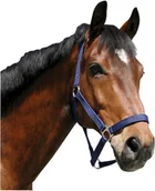 Kantary dla koni - Kantar nylonowy niebieski, roz. 3 - miniaturka - grafika 1