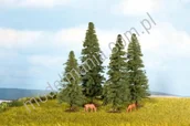 Kolejki i akcesoria - NOCH Jodła 8-12cm / 4szt. 25232 - miniaturka - grafika 1