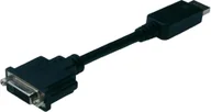 Adaptery i przejściówki - Digitus Przejściówka DisplayPort DVI AK-340401-001-S [1x Złącze męskie DisplayPo - miniaturka - grafika 1