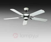 Wentylatory sufitowe - Pegro Sydney - miniaturka - grafika 1