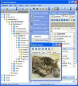 Oprogramowanie serwerowe - SQL Maestro Group AnySQL Maestro Single Non-commercial License - miniaturka - grafika 1