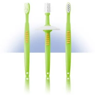 Reer Zestaw do nauki mycia zębów 7903 - Szczoteczki do zębów dla dzieci - miniaturka - grafika 2