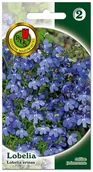 Nasiona i cebule - Lobelia Nasiona niebieska - miniaturka - grafika 1