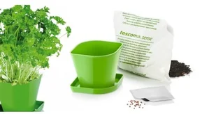 Tescoma Zestaw do uprawy ziół SENSE pietruszka 899064 - Akcesoria i części AGD - miniaturka - grafika 3