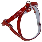 Szelki dla psów - Champion Szelki 60 czerwone [SD(R)] 13387 - miniaturka - grafika 1