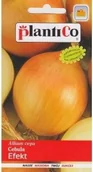 Nasiona i cebule - Plantico CEBULA EFEKT 5g - miniaturka - grafika 1