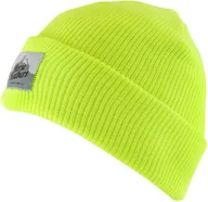 Czapki damskie - Horsefeathers Czapka zimowa damska NINA BEANIE (acid) - miniaturka - grafika 1