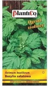 Nasiona i cebule - Plantico BAZYLIA SAŁATOWA 1g - miniaturka - grafika 1
