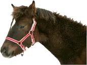 Kantary dla koni - Kantar dla źrebaka nylonowy regulowany czerwony - miniaturka - grafika 1