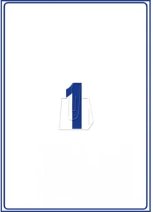 Avery Zweckform Etykiety wysyłkowe Zweckform 199,6 x 289,1 25 ark./op. L7997-25 - Etykiety samoprzylepne i bloki etykiet - miniaturka - grafika 2