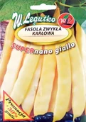 Nasiona i cebule - Legutko FASOLA ZWYKŁA KARŁOWA Supernano giallo W. 40g ogr000184 - miniaturka - grafika 1