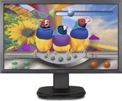 Monitory - ViewSonic VG2439Smh - miniaturka - grafika 1