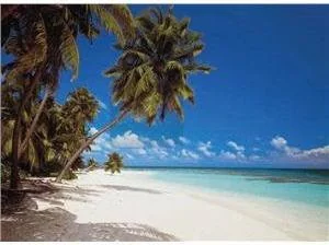 Komar Fototapeta Maledives 8-240 - Fototapety - miniaturka - grafika 4