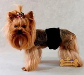 Specjalistyczne artykuły dla zwierząt - Grande Finale Pampas czarny -Majtki dla samca rozmiar 3 [PA1/3] 8782 - miniaturka - grafika 1