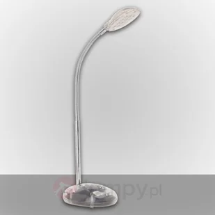 Brilliant Timmi Biurkowa G92927/00 - Lampy stojące - miniaturka - grafika 3