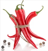 Akcesoria i części do okapów - Panel ścienny VDB Chilli 600x650 - miniaturka - grafika 1