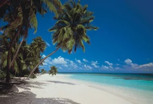 Komar Fototapeta Maledives 8-240 - Fototapety - miniaturka - grafika 3