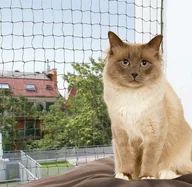 Pozostałe akcesoria dla kotów - Trixie Siatka na okno zielona 6x3m [44294] 11625 - miniaturka - grafika 1