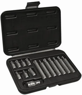Topex Klucze ampułowe spline 39D391 komplet 15 szt. - Klucze i nasadki - miniaturka - grafika 2