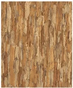 Tapety - Tapeta winylowa na papierze Tree J27108 10 mb - miniaturka - grafika 1