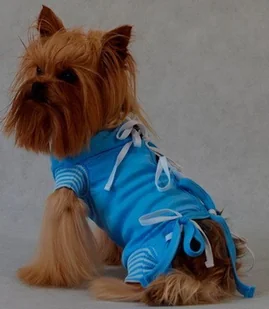 Grande Finale Grande Finale Koszulka pooperacyjna rozmiar 4 / 44cm niebieska - Przysmaki dla psów Grande Finale Grande Finale Koszulka pooperacyjna rozmiar 4 / 44cm niebieska - Przysmaki dla psów - miniaturka - grafika 2