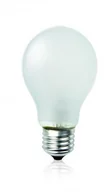 Żarówki tradycyjne - Apollo Żarówka E27 75W GLS matowa Żarówka wstrząsoodporna 10 - miniaturka - grafika 1