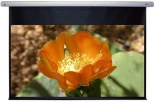 DeLuxx Advanced Elegance (234x132) (HAS220BE) - Ekrany projekcyjne DeLuxx Advanced Elegance (234x132) (HAS220BE) - Ekrany projekcyjne - miniaturka - grafika 1